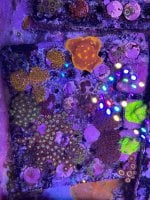 IMG_2575.jpeg