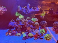 IMG_1440.jpeg