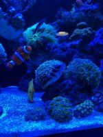 IMG_4603.jpeg