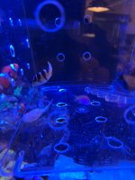 IMG_4629.jpeg