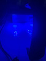 IMG_7028.jpeg