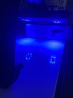 IMG_7023.jpeg