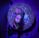 DSC03051.jpg DSC03051.jpg