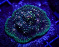 DSC03060.jpg DSC03060.jpg