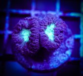 DSC03061.jpg DSC03061.jpg