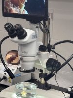 IMG_1660.jpeg IMG_1660.jpeg