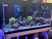 IMG_1658.jpeg IMG_1658.jpeg