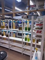 IMG_1654.jpeg IMG_1654.jpeg