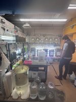 IMG_1652.jpeg IMG_1652.jpeg