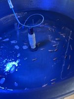 IMG_1650.jpeg IMG_1650.jpeg