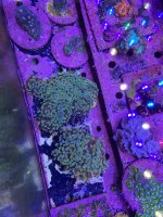 IMG_9276.jpeg