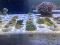IMG_1761.jpeg