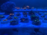 IMG_1767.jpeg
