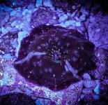 Screenshot 2025-06-27 133733.jpg