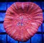 Screenshot 2025-06-27 135040.jpg