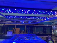 IMG_3006.jpeg