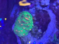IMG_3077.jpeg