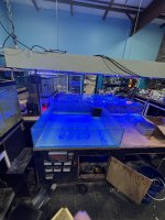 IMG_2957.jpeg