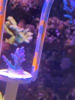 IMG_9417.jpeg