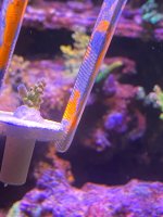 IMG_9416.jpeg
