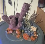 Artificial coral insert.jpg