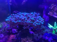 IMG_1091.jpeg