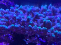 IMG_1092.jpeg