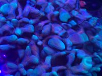 IMG_1093.jpeg
