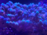 IMG_1094.jpeg