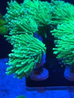 IMG_0366.jpeg