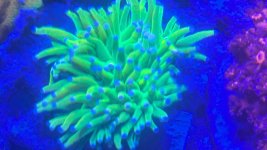 PXL_20250709_192922960.jpg