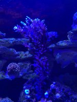 IMG_7536.jpeg