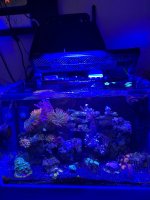 IMG_7535.jpeg