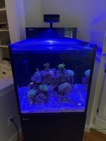 IMG_1546.jpeg