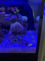 IMG_1547.jpeg