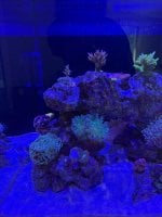 IMG_1548.jpeg