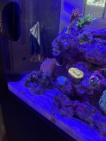 IMG_1549.jpeg