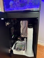 IMG_1550.jpeg