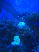 20250507_095029.jpg
