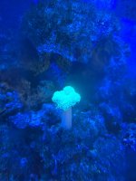 20250507_094956.jpg