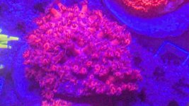 PXL_20250709_192930650.jpg