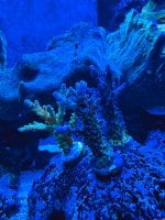 IMG_2625.jpeg