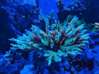 IMG_2628.jpeg