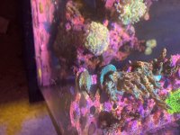 IMG_9489.jpeg