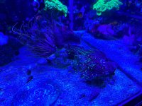 IMG_7110.jpeg
