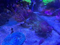 IMG_7109.jpeg