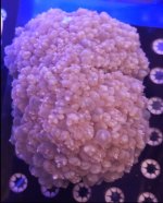 Screenshot 2025-07-26 110501.jpg Screenshot 2025-07-26 110501.jpg