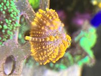 IMG_2343.jpeg