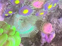 IMG_2353.jpeg