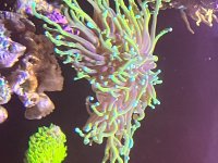 IMG_2354.jpeg